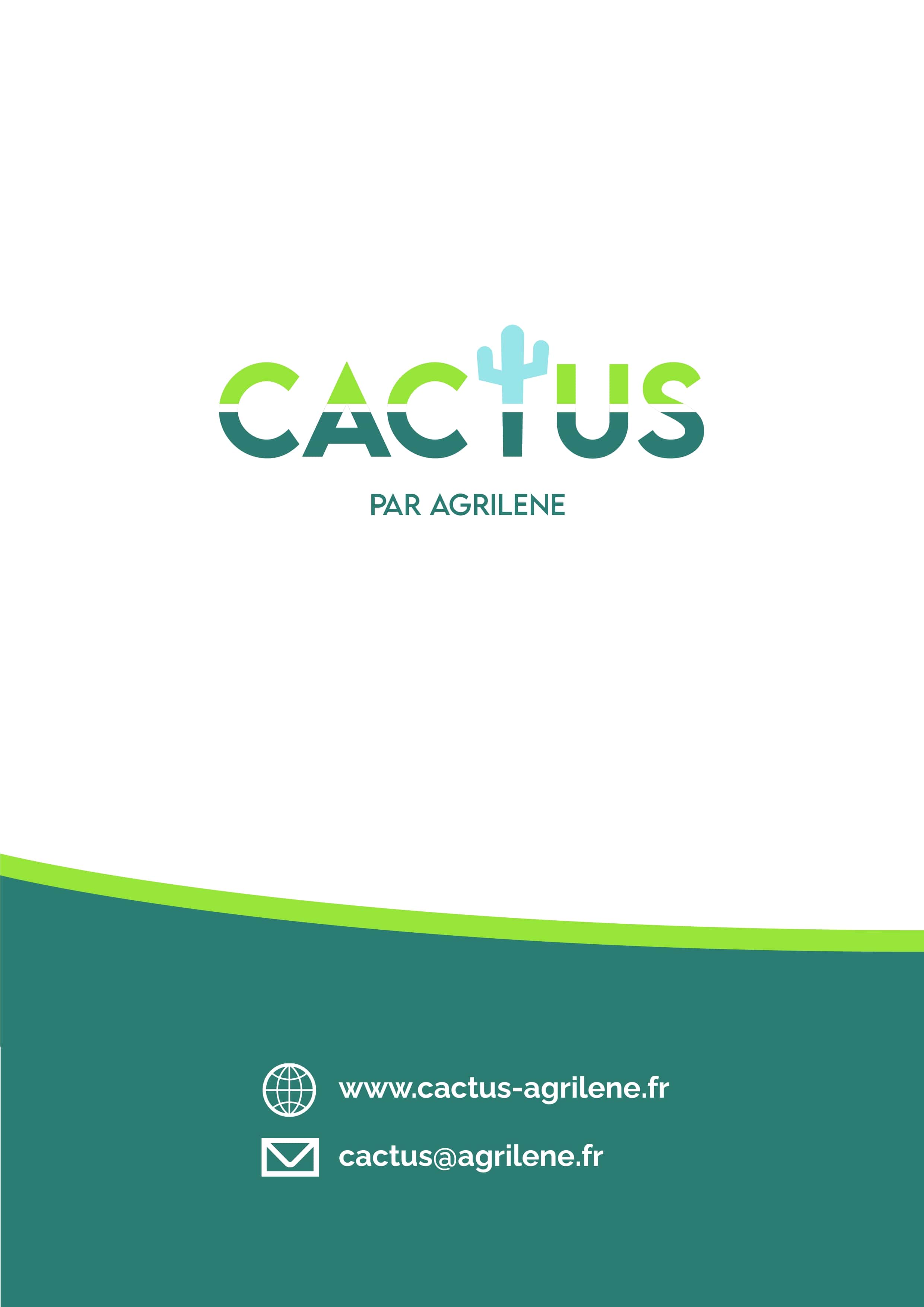 Cactus 8